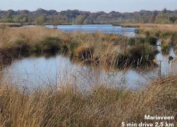Relaxed Eigen Plekje In De Peel - Kostelijk